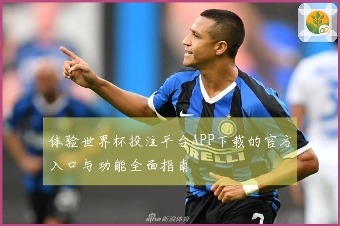 体验世界杯投注平台APP下载的官方入口与功能全面指南