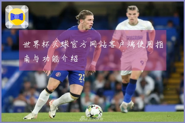 世界杯买球官方网站客户端使用指南与功能介绍